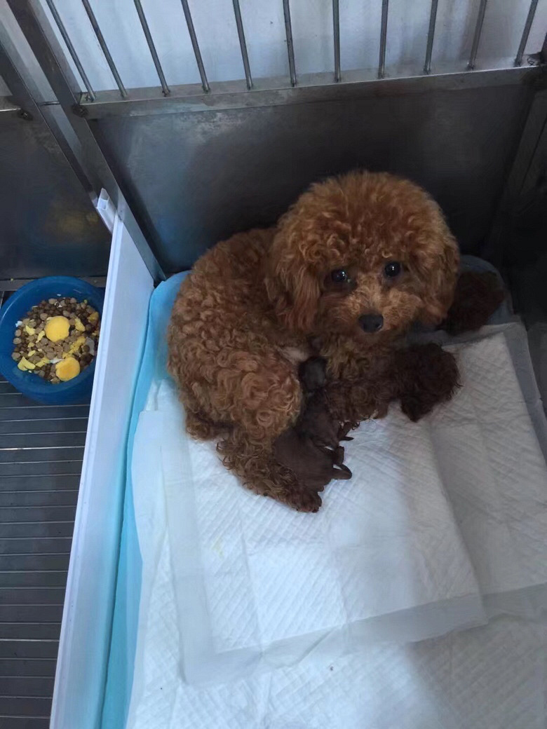ת���Լ�����̩�Ϲ������