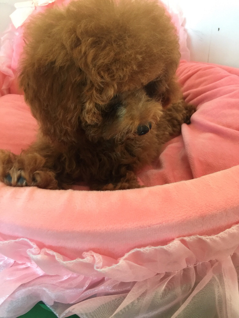 ת���Լ�����̩�Ϲ������