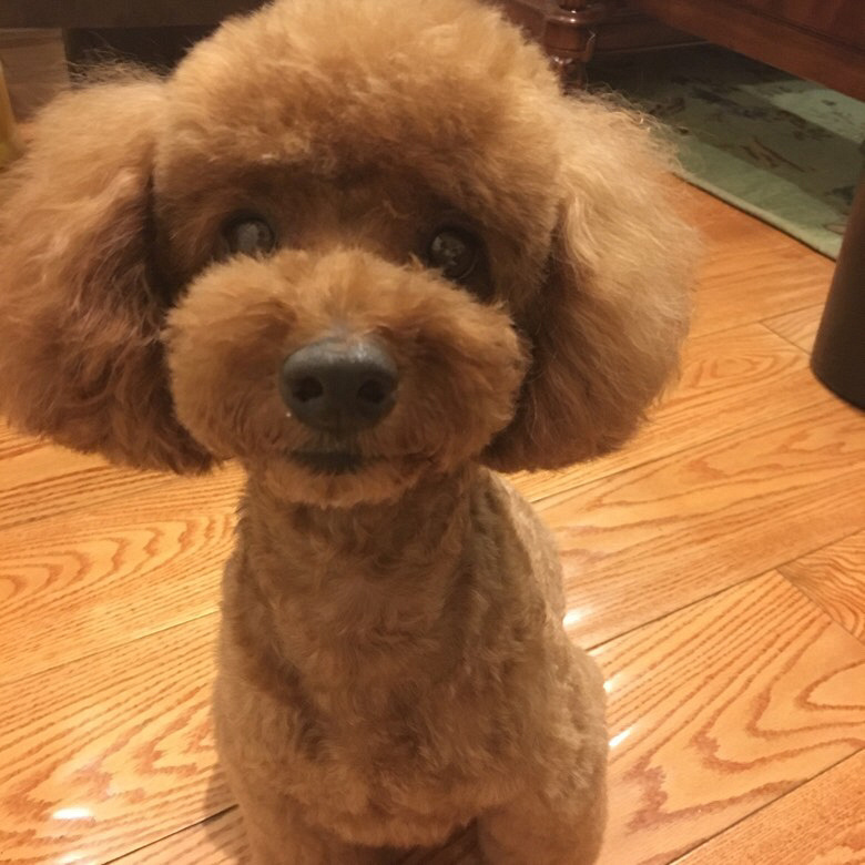 ���Ҽҹ�������Ҽҳ���
