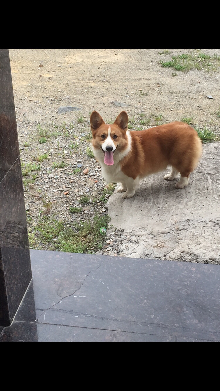 �»���Ȯ����