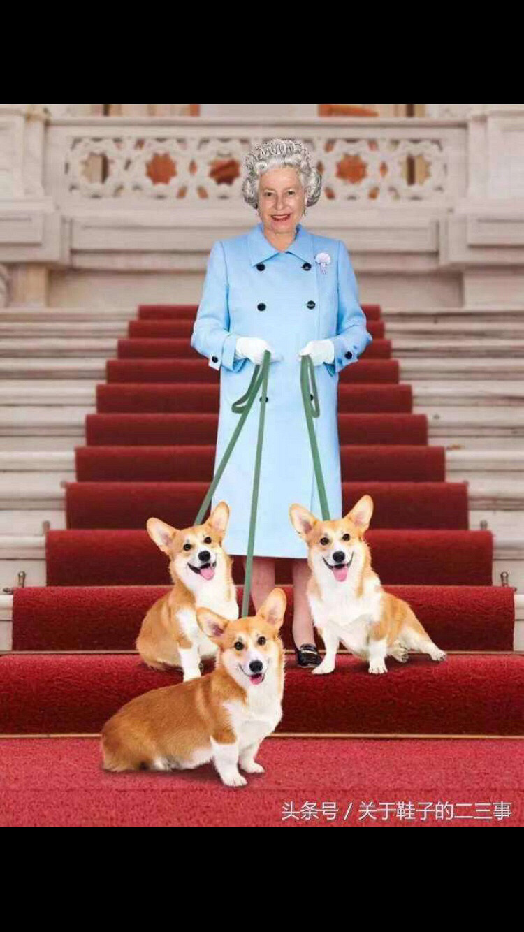 �»���Ȯ����