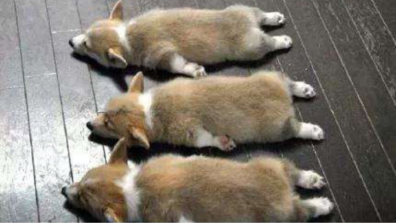 �»���Ȯ����