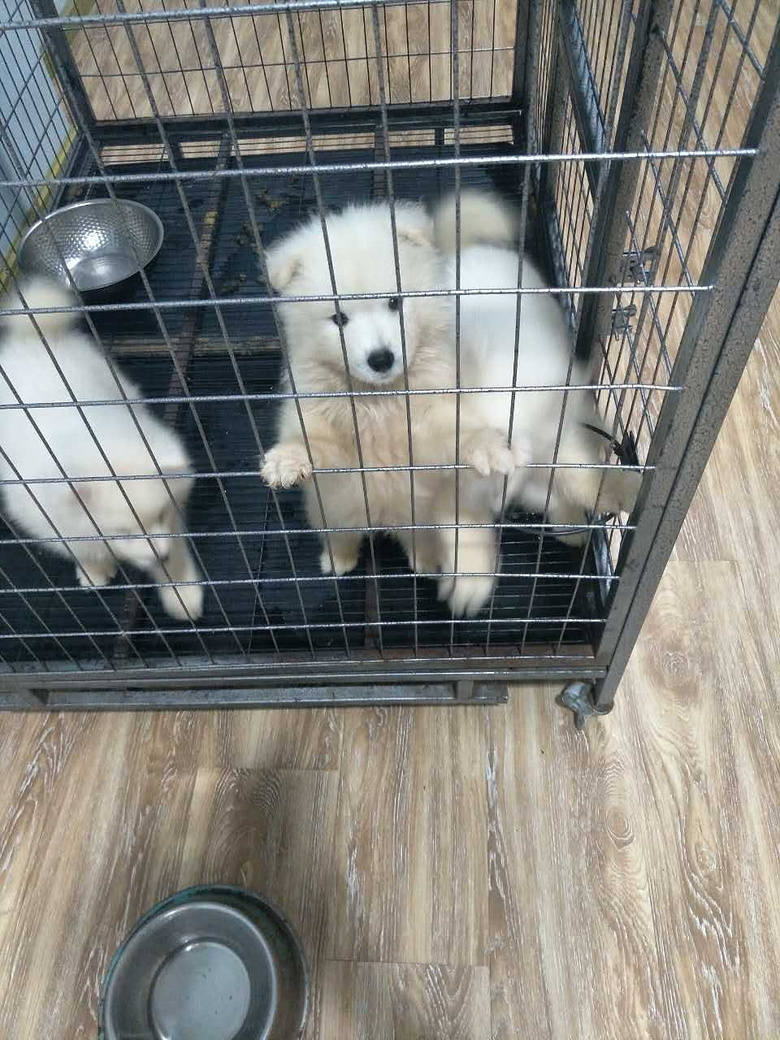 ��ĦҮ���ۣ�2���´󣬽����ɰ���