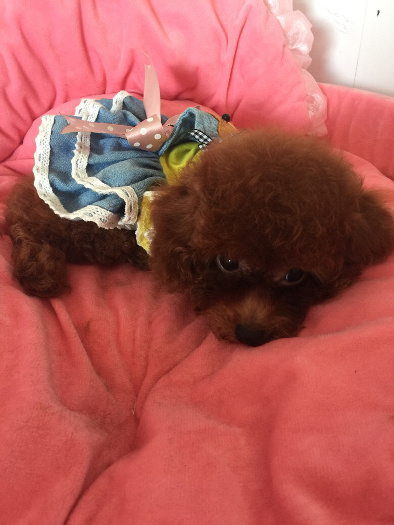 �Լ�����̩�ϱ����豭�����¼���