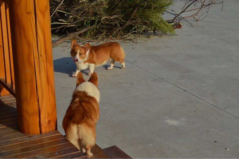 �����»���Ȯ����