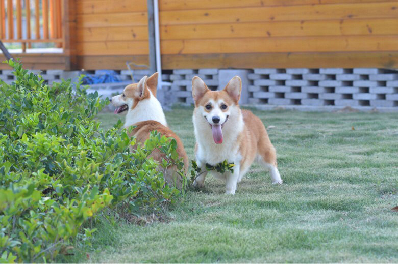 �����»���Ȯ����