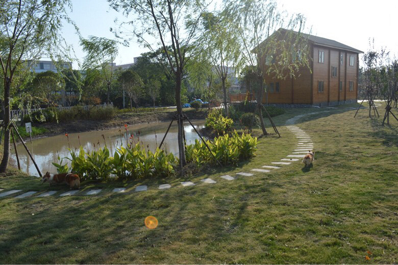 �����»���Ȯ����