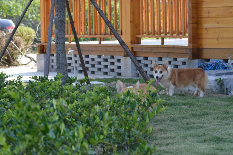 �����»���Ȯ����