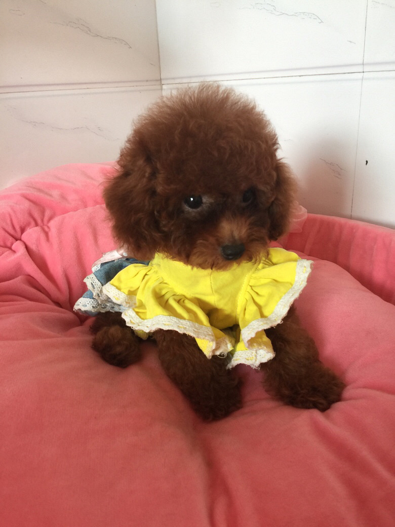 ���Լ�����̩�ϱ������¼��ˣ�ϲ������ϵ��