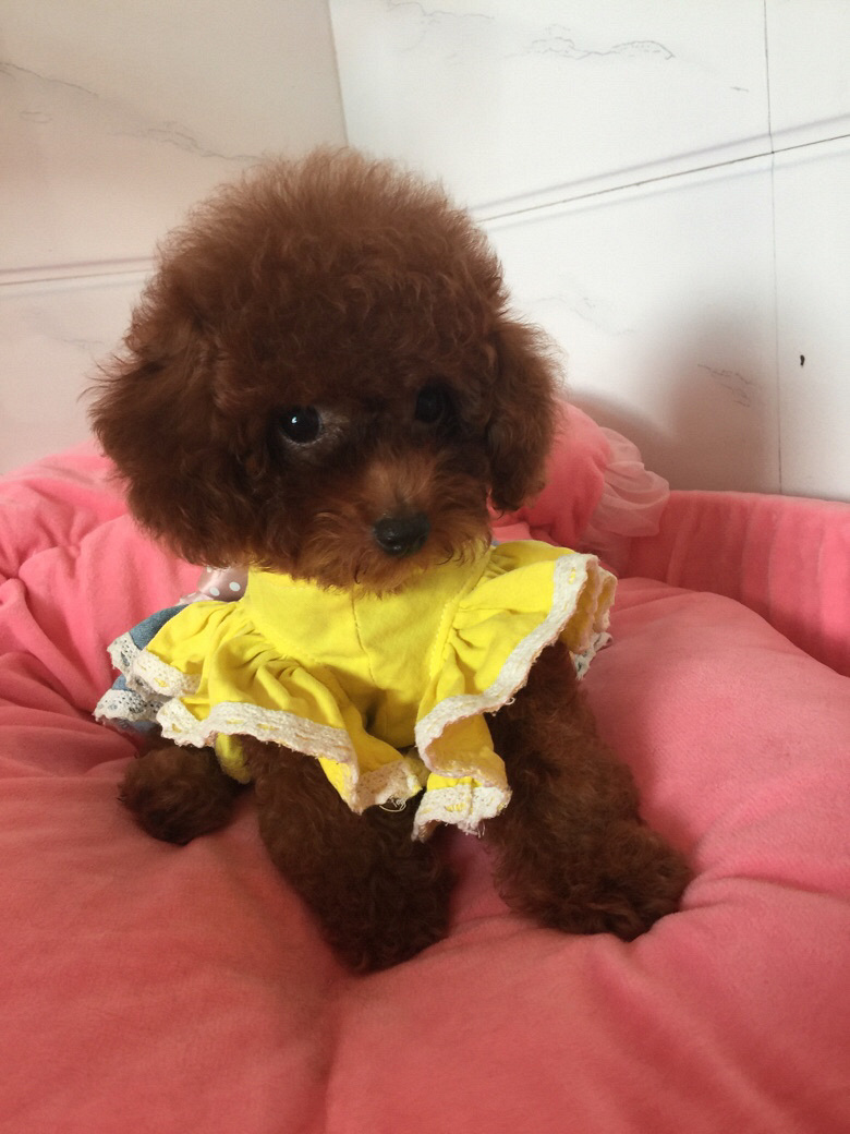 ���Լ�����̩�ϱ������¼��ˣ�ϲ������ϵ��