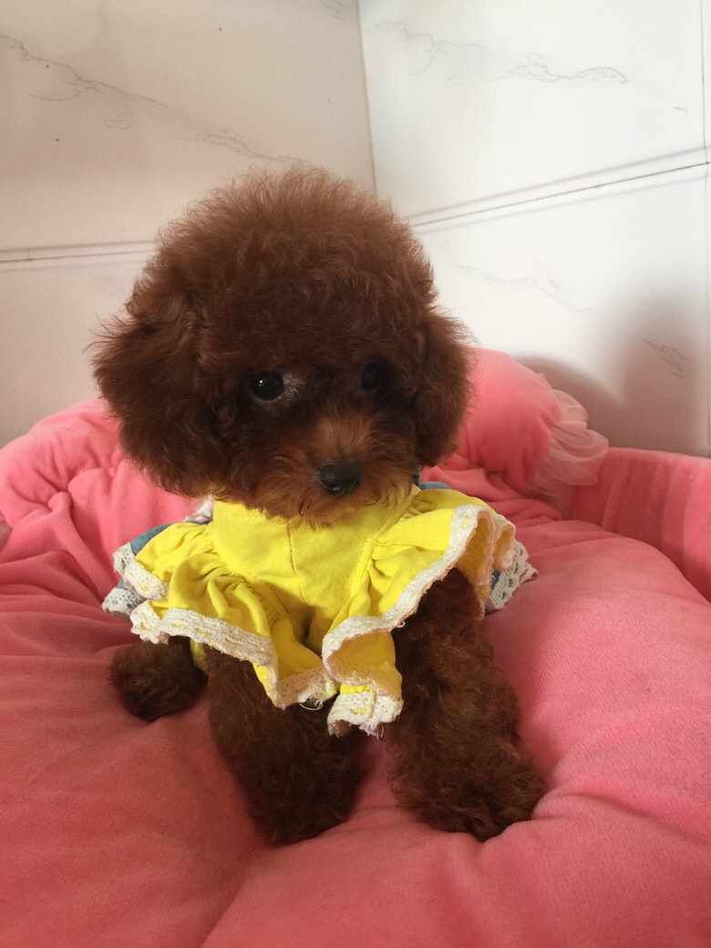 ���Լ�����̩�ϱ������¼��ˣ�ϲ������ϵ��