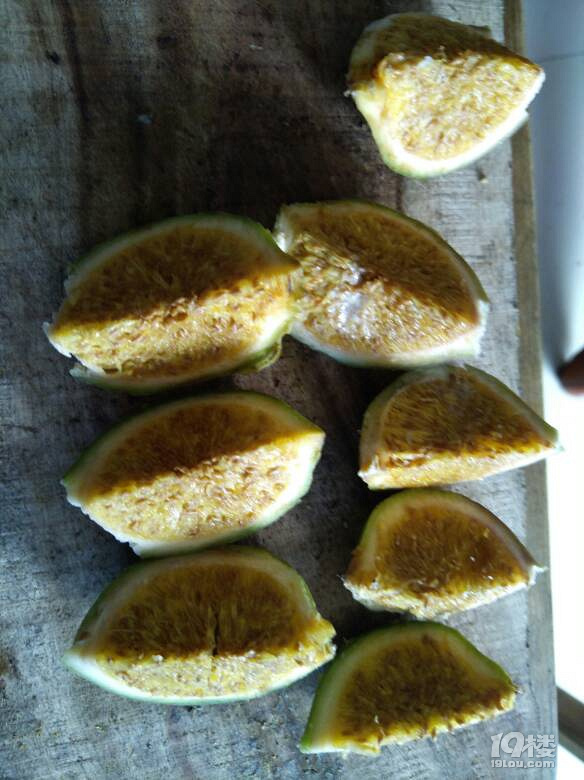 石莲糊迷道好的猛