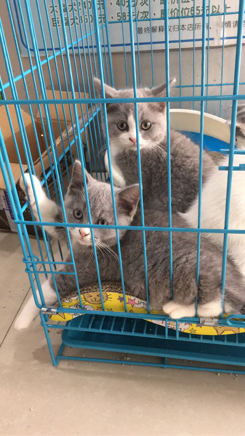 �������س��۸������è�������Լ۱ȸ�