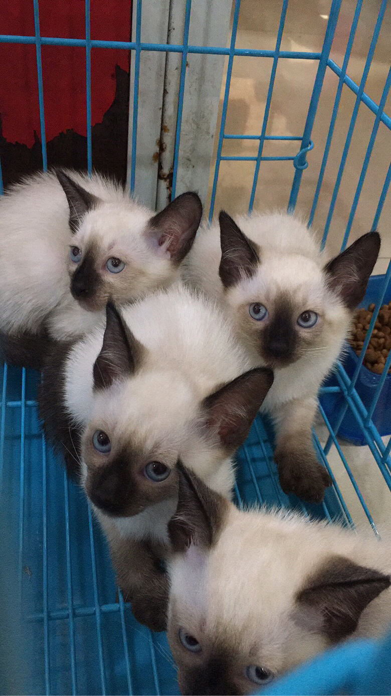 �������س��۸������è�������Լ۱ȸ�