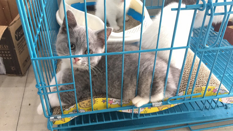 �������س��۸������è�������Լ۱ȸ�