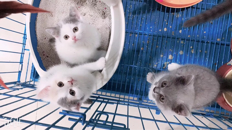 �������س��۸������è�������Լ۱ȸ�