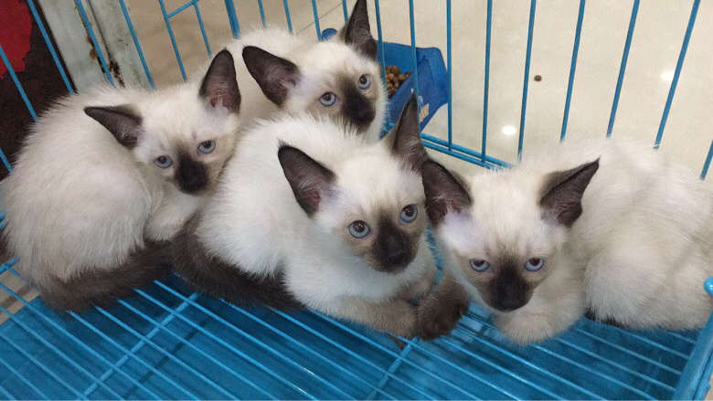 �������س��۸������è�������Լ۱ȸ�