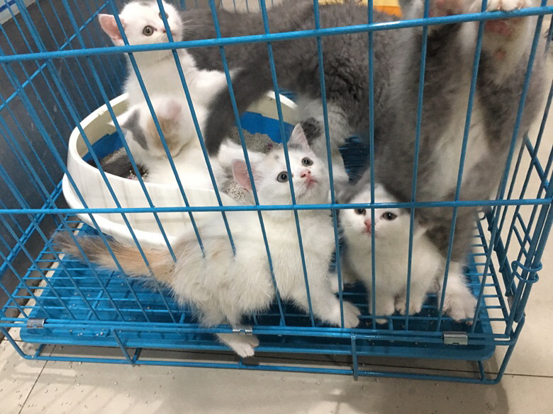 �������س��۸������è�������Լ۱ȸ�