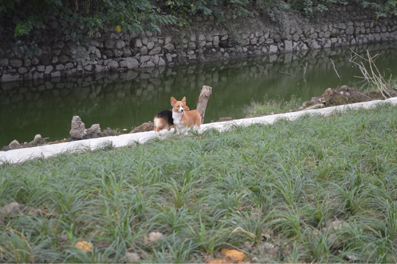 �����Ѽҳ��ۿ»���Ȯ