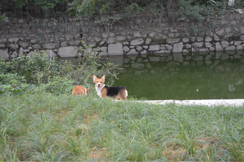 �����Ѽҳ��ۿ»���Ȯ