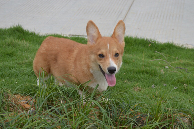 �����Ѽҳ��ۿ»���Ȯ