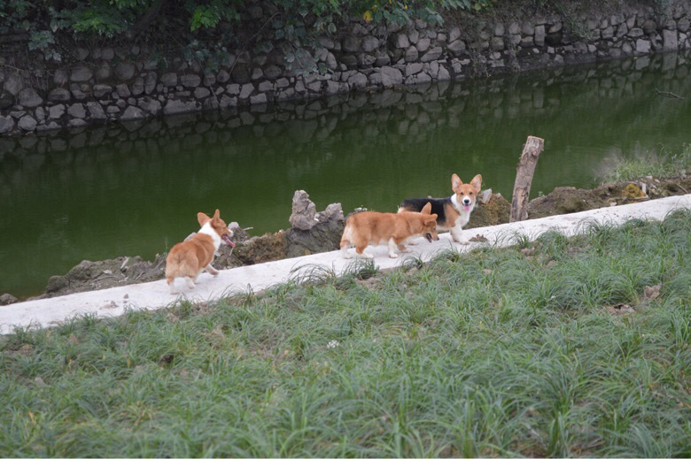 �����Ѽҳ��ۿ»���Ȯ