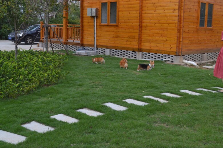 �����Ѽҳ��ۿ»���Ȯ