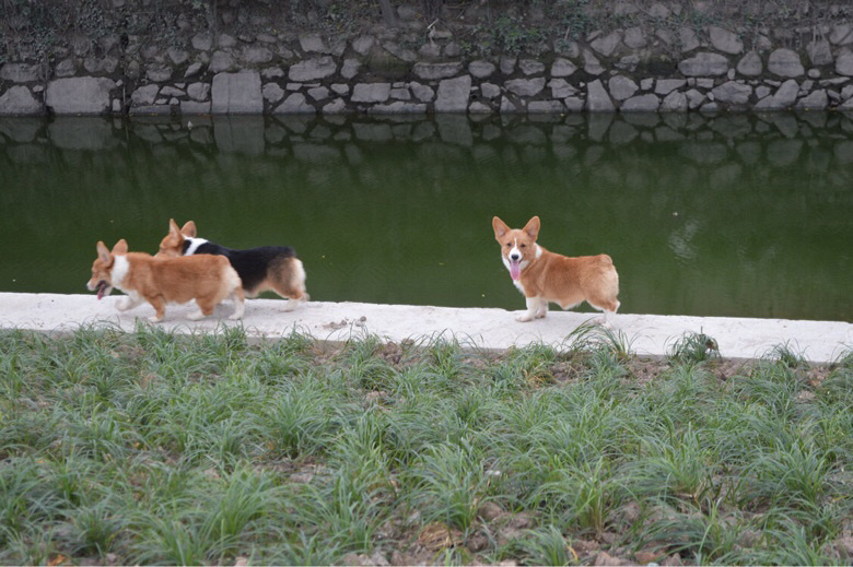 �����Ѽҳ��ۿ»���Ȯ