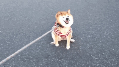 ��������ձ���Ȯ��С����