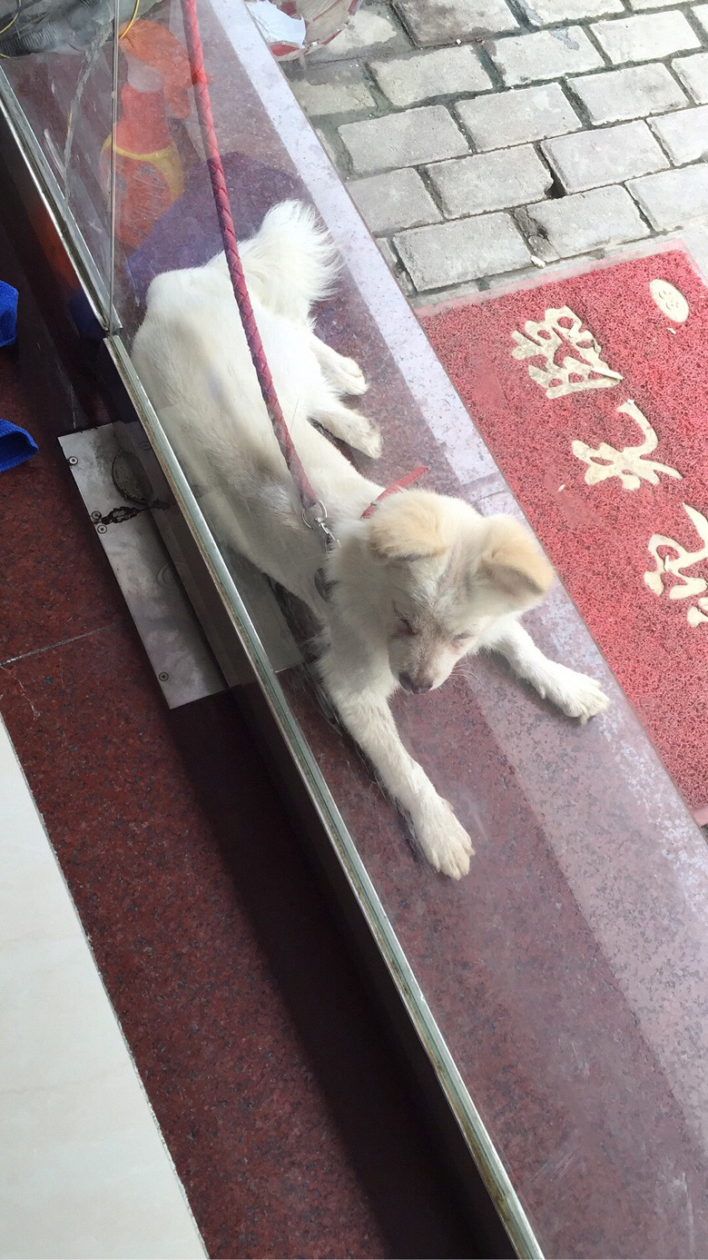 �������һ���˸��µ�С������������