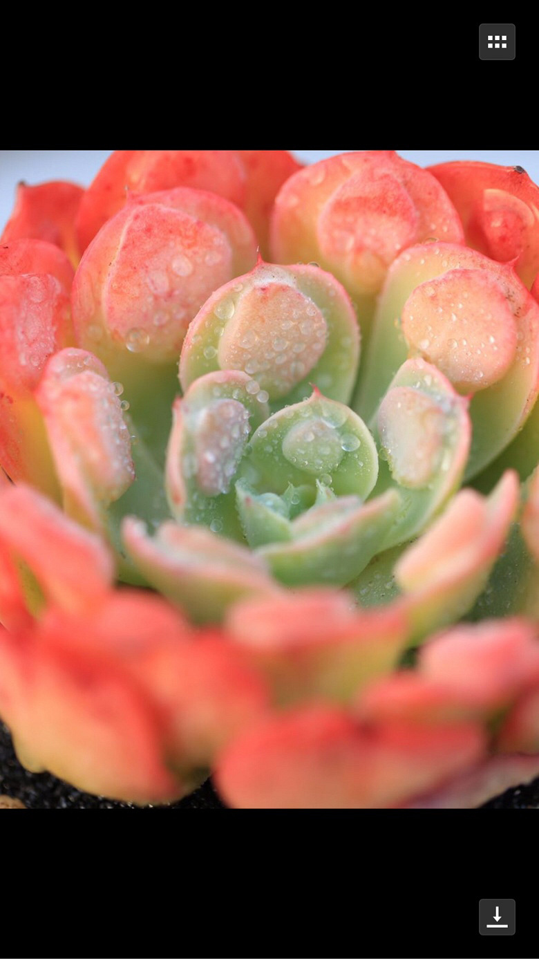 Ư�������