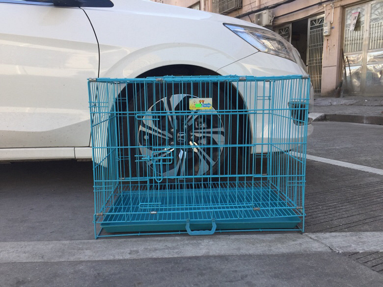 9�ɰ��¹�����ת��