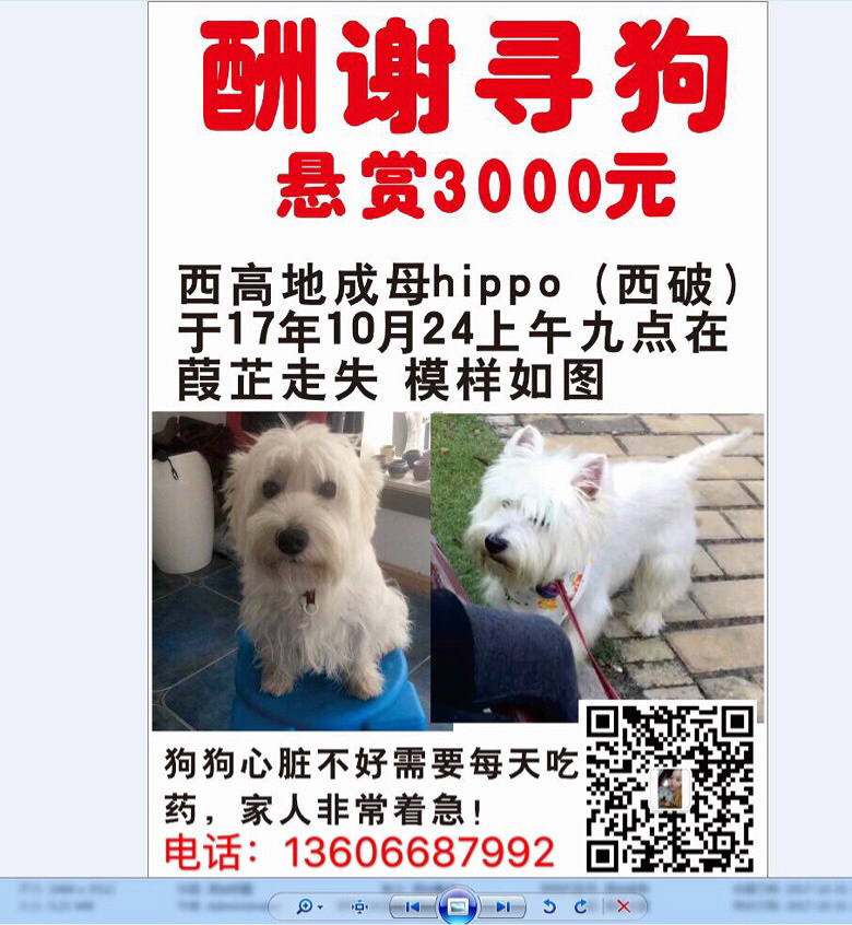 ��û���˿����ҵĹ�