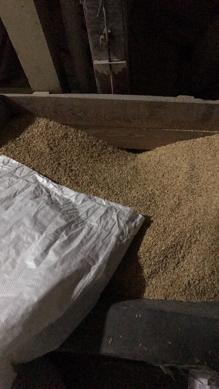 ���ף��������״��ס�