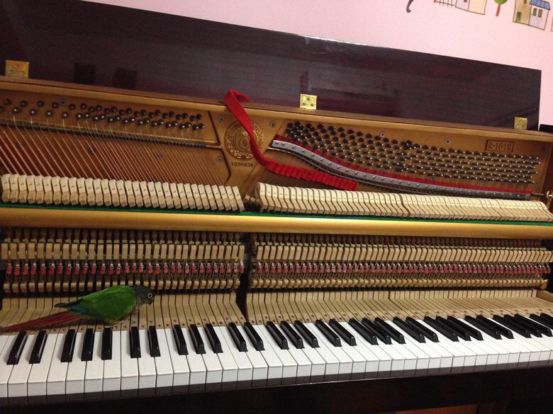 12800元,日本原装YAMAHA钢琴2台任选