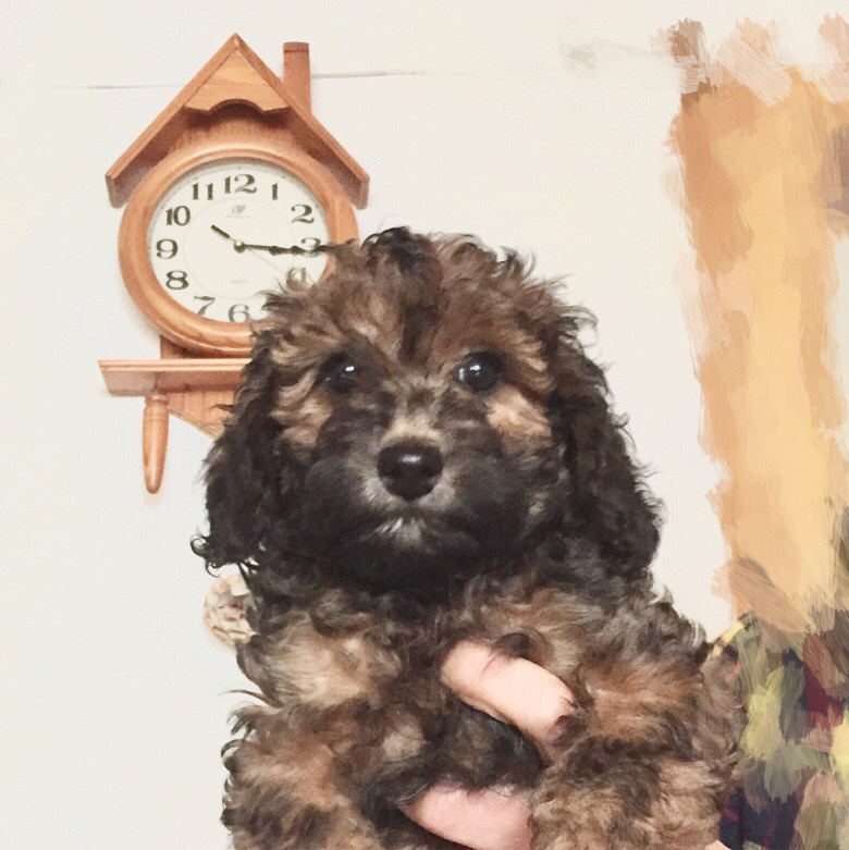 ���������´���̩�Ϲ����Ȯ������ ��ĸ���� �ǳ�����