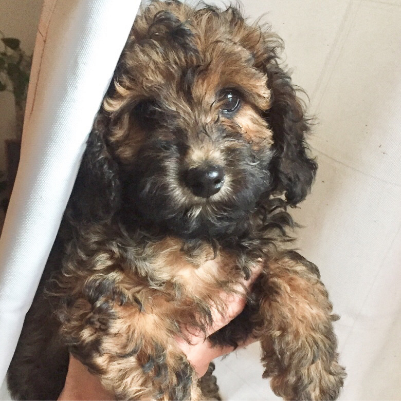 ���������´���̩�Ϲ����Ȯ������ ��ĸ���� �ǳ�����