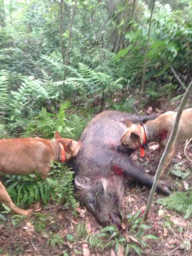 �Թ������ˣ��ײ˼���