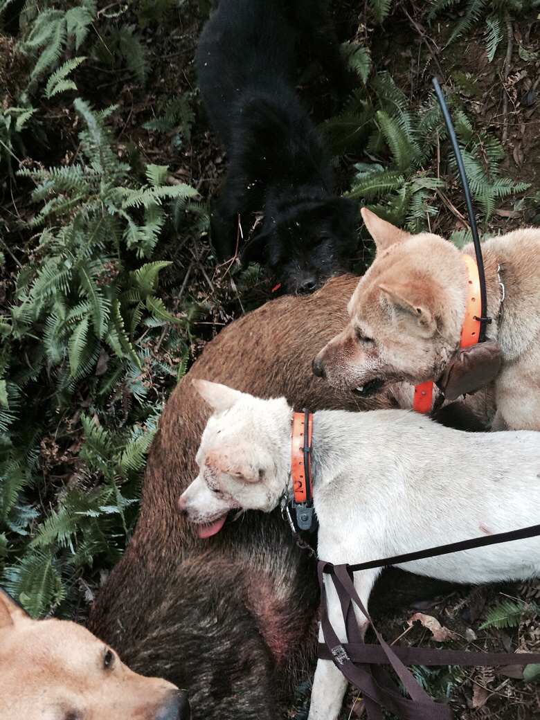 �Թ������ˣ��ײ˼���