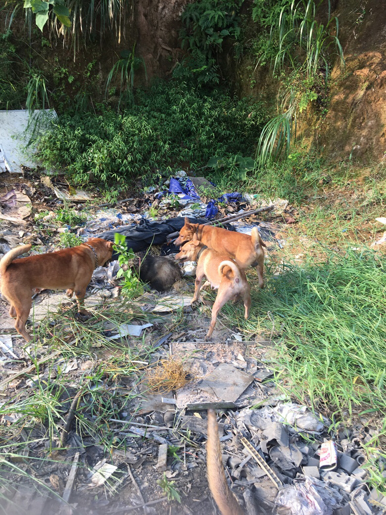 �Թ������ˣ��ײ˼���