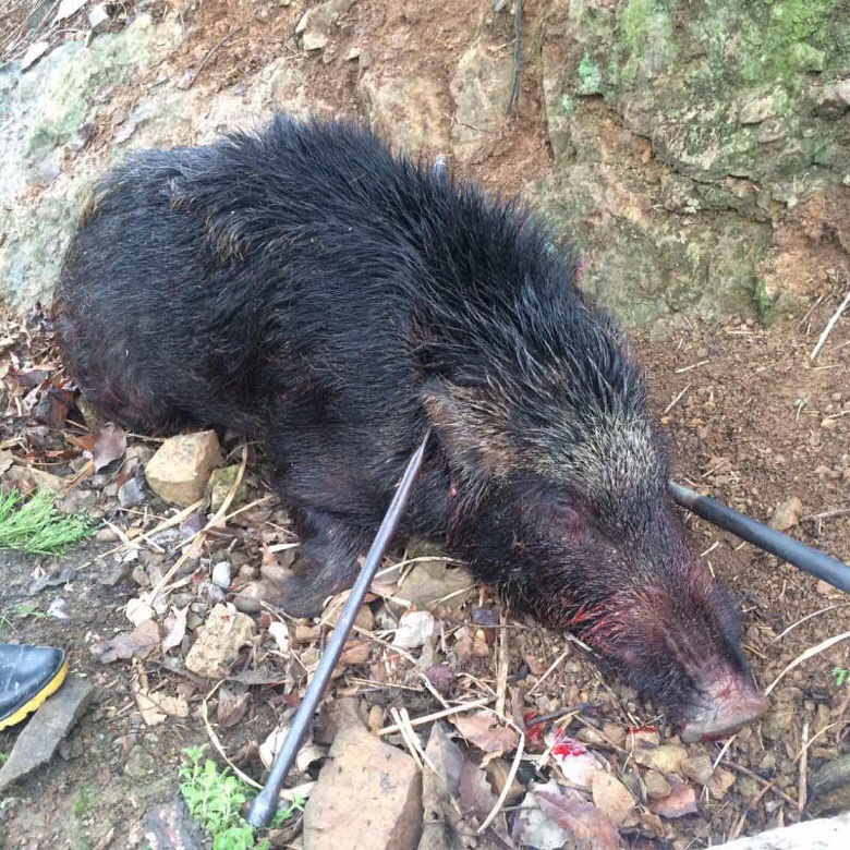 �Թ������ˣ��ײ˼���