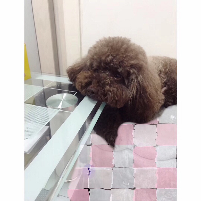 Ѱ����ʾ