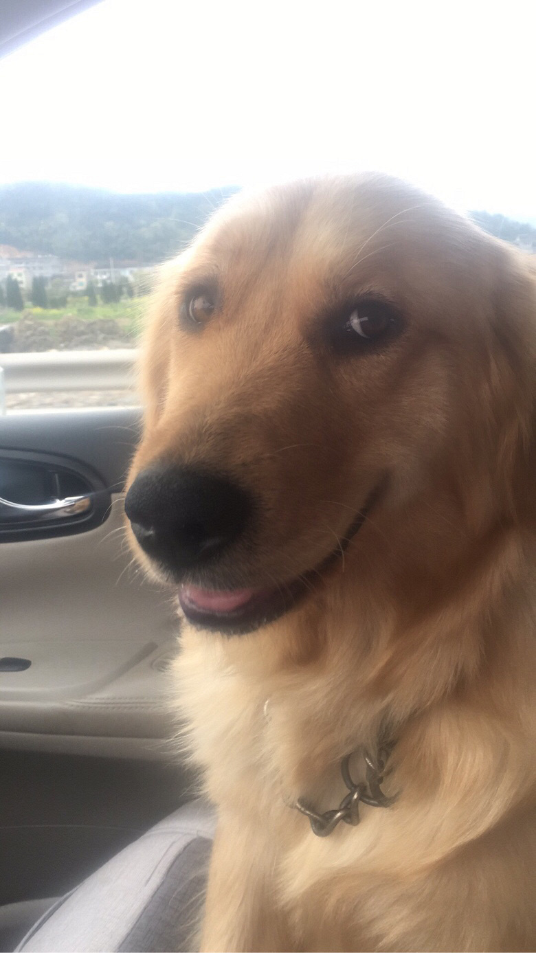 ������
