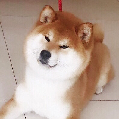 ��Ʒ�ձ���Ȯ