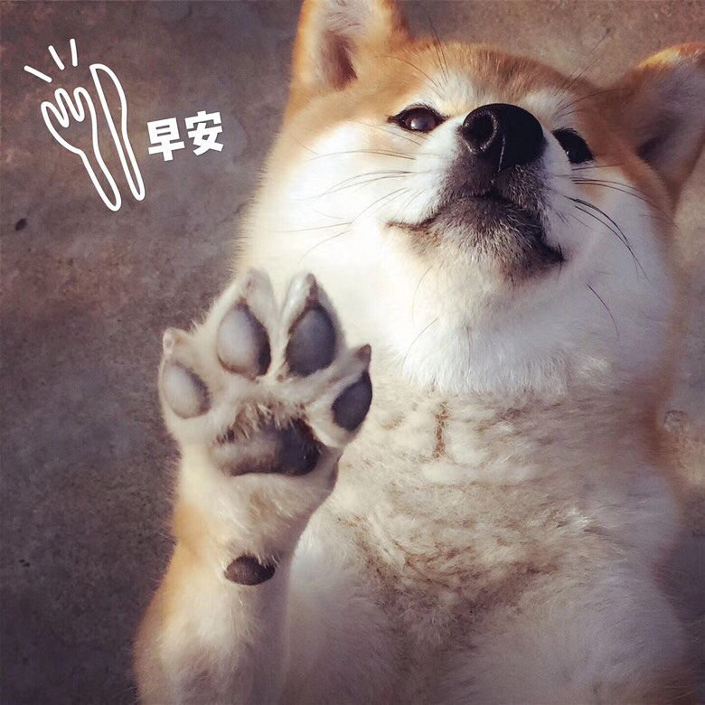 ��Ʒ�ձ���Ȯ