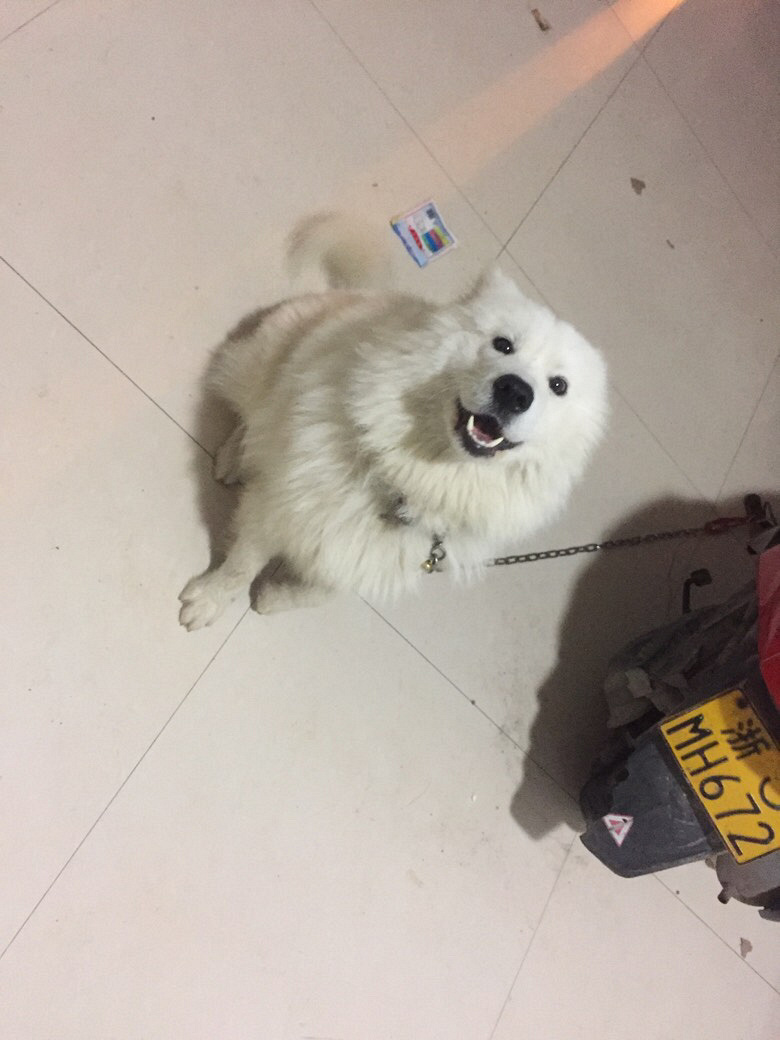��Ħ