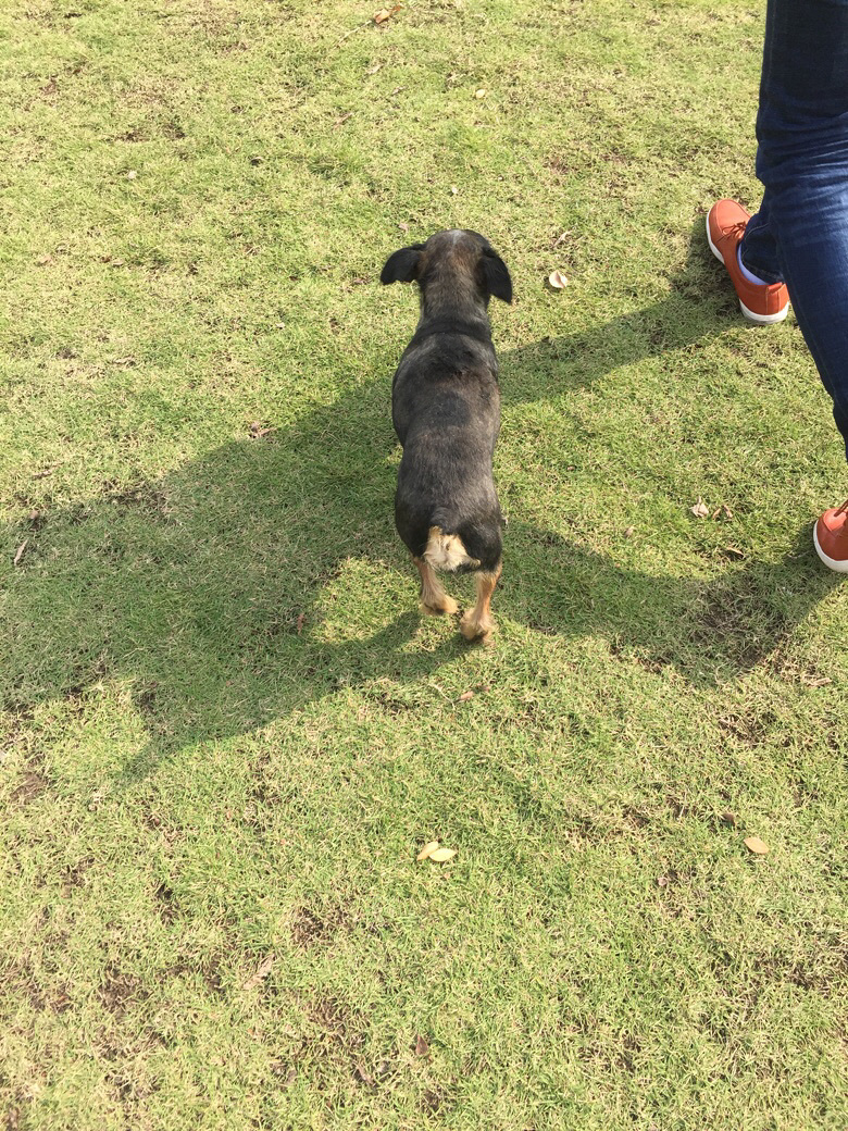 ����Ѱ������ʾ