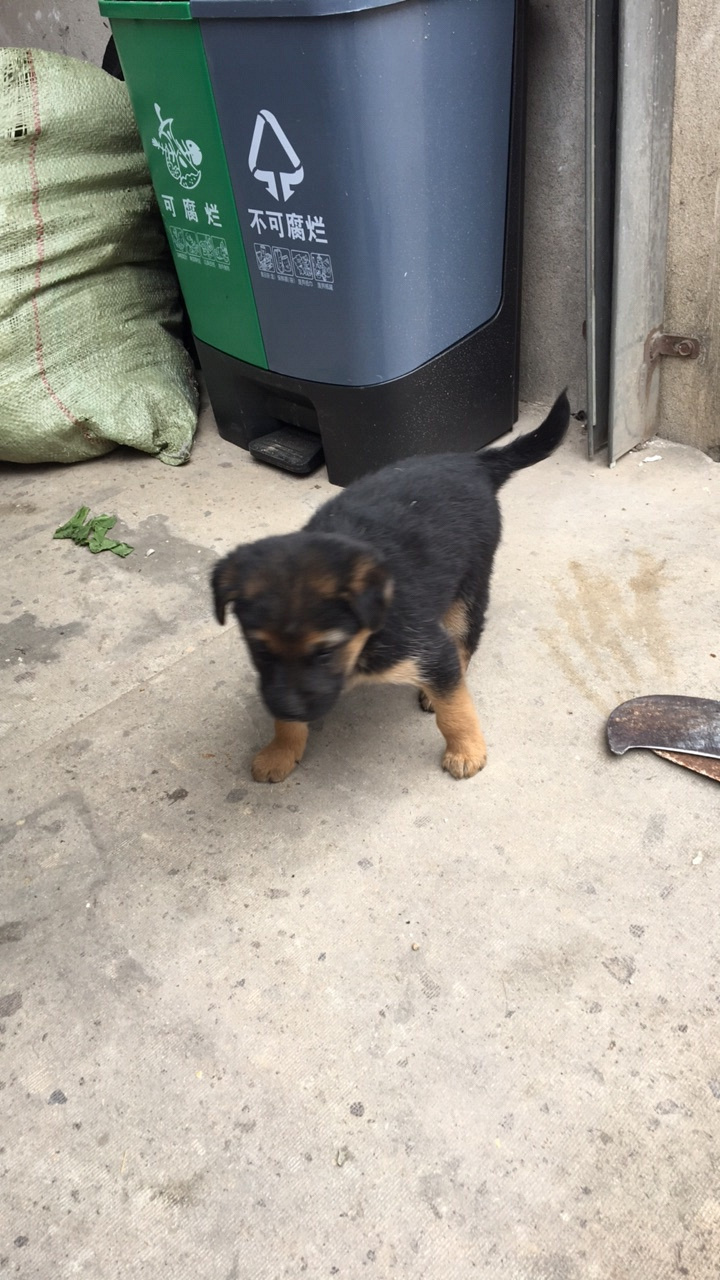 ��λ��,��������С����