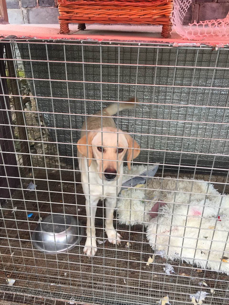 ��Ȯ�����������
