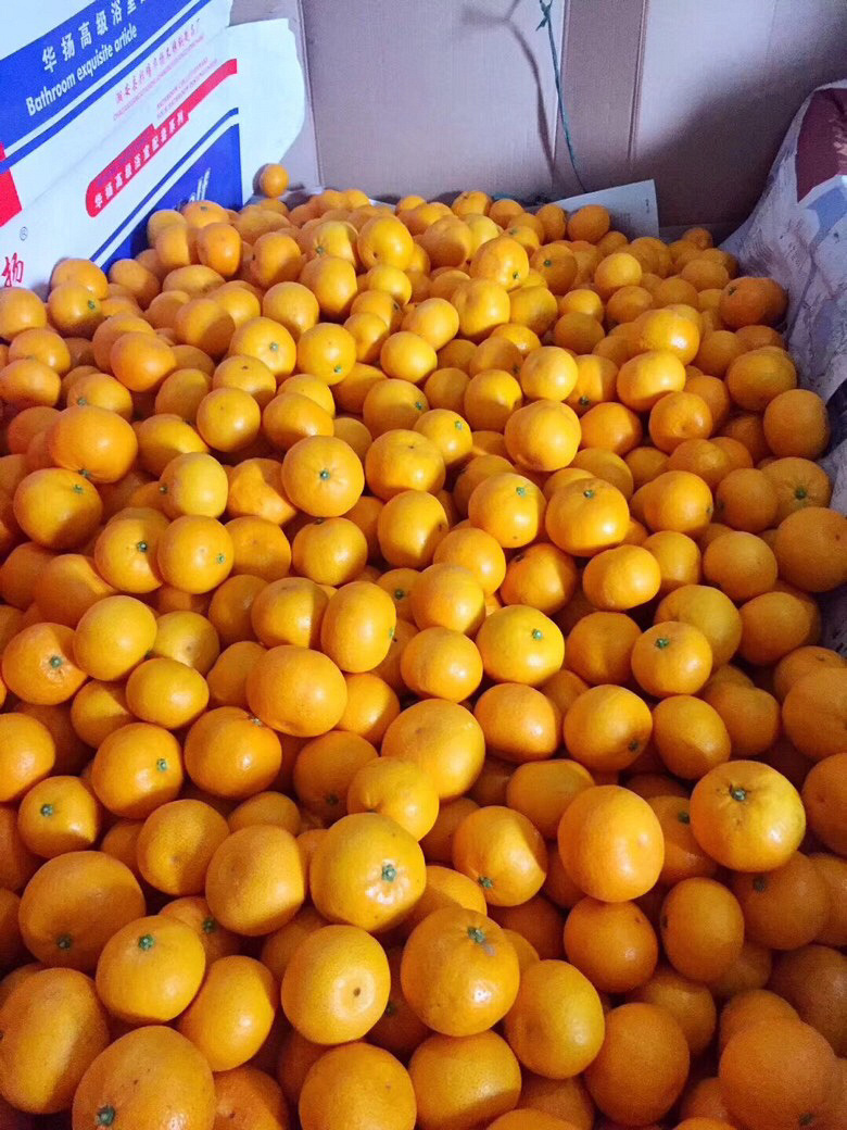 ���ұ������Բ�������ũҩ